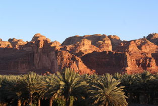 亞洲資源第一大國 資源價(jià)值比中國還高11萬億,國土卻僅中國1 4