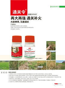 2020年 讓稀缺產(chǎn)品資源走進千家萬戶